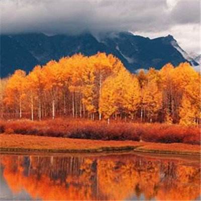 Kaiyun(云开)体育App